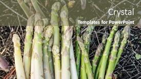  Presentation with harvest - PPT theme having harvest-of-white-and-green background and a violet colored foreground