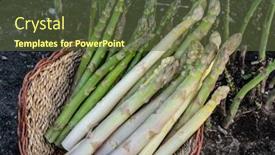  Presentation with white green - Cool new presentation theme with harvest-of-white-and-green backdrop and a tawny brown colored foreground