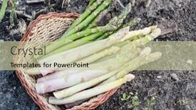  Presentation with white green - Amazing slide set having harvest-of-white-and-green backdrop and a soft green colored foreground