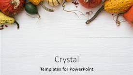  Presentation with winter border - Slide deck consisting of harvest-of-winter-squash background and a white colored foreground