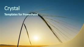  Presentation with harvest - PPT theme enhanced with harvest on field and sunset background and a ocean colored foreground