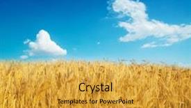  Presentation with deep blue - Amazing presentation theme having harvest on field under deep backdrop and a  colored foreground