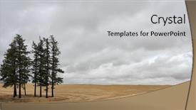  Presentation with pine trees - Audience pleasing slide deck consisting of harvest several pine trees sway backdrop and a light gray colored foreground