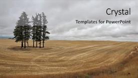  Presentation with pine trees - Beautiful theme featuring harvest several pine trees sway backdrop and a  colored foreground