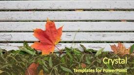  Presentation with harvest - Audience pleasing PPT layouts consisting of harvest theme - autumn leaves on the bench backdrop and a tawny brown colored foreground