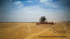  Presentation with harvest - Slides consisting of harvest time a combine harvester working in a wheat field background and a gold colored foreground