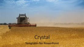  Presentation with harvest is ripe - PPT layouts enhanced with harvest time a combine harvester background and a gold colored foreground