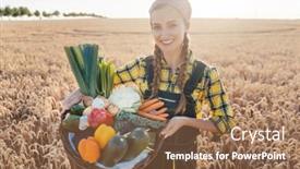  Presentation with harvest - Theme enhanced with harvest time in the country woman farmer offering vegetables taking them to the market background and a tawny brown colored foreground