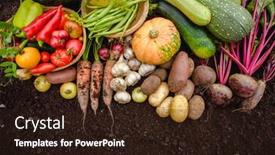  Presentation with carrots - Presentation design with harvest-vegetables-on-the-ground background and a wine colored foreground