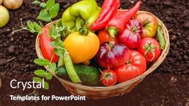  Presentation with cucumbers - Colorful presentation theme enhanced with harvest-vegetables-on-the-ground backdrop and a tawny brown colored foreground
