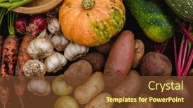  Presentation with cucumbers - Audience pleasing presentation design consisting of harvest-vegetables-on-the-ground backdrop and a tawny brown colored foreground