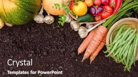  Presentation with carrots - Presentation featuring harvest-vegetables-on-the-ground background and a wine colored foreground