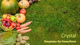  Presentation with cucumbers - PPT layouts featuring harvest-vegetables-on-the-ground background and a tawny brown colored foreground