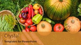  Presentation with hydroponics vegetables hydroponic vegetable - Cool new slides with harvest-vegetables-on-the-ground backdrop and a gold colored foreground