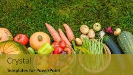  Presentation with cucumbers - Theme enhanced with harvest-vegetables-on-the-ground background and a gold colored foreground