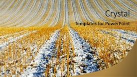  Presentation with agriculture - Audience pleasing PPT theme consisting of harvested agriculture field in winter backdrop and a coral colored foreground