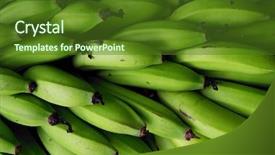  Presentation with colombia - Amazing PPT theme having harvested bananas in colombia south backdrop and a tawny brown colored foreground