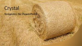 Presentation with straw - Colorful slide deck enhanced with harvested dry yellow straw roll backdrop and a  colored foreground