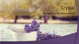  Presentation with lavender flowers border - Colorful presentation design enhanced with harvested lavender flowers on wooden backdrop and a  colored foreground