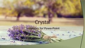  Presentation with lavender flowers border - Audience pleasing slide set consisting of harvested lavender flowers on wooden backdrop and a  colored foreground