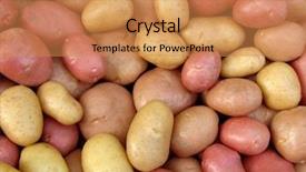  Presentation with potato - Theme consisting of harvested potato tubers different varieties background and a coral colored foreground