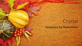  Presentation with fall leaves - Colorful presentation theme enhanced with harvested-pumpkins-with-fall-leaves backdrop and a gold colored foreground