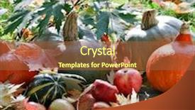  Presentation with fall leaves - Audience pleasing PPT layouts consisting of harvested pumpkins with fall leaves backdrop and a red colored foreground