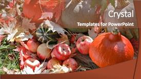  Presentation with fall leaves - Slides enhanced with harvested pumpkins with fall leaves background and a red colored foreground