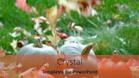  Presentation with fall leaves - PPT layouts featuring harvested pumpkins with fall leaves background and a red colored foreground