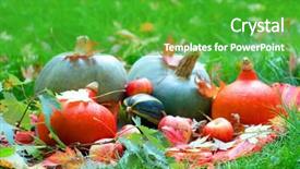  Presentation with fall leaves - Amazing PPT layouts having harvested pumpkins with fall leaves backdrop and a shamrock green colored foreground