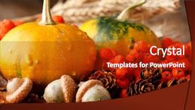  Presentation with fall leaves - Beautiful slide set featuring harvested pumpkins with fall leaves backdrop and a crimson colored foreground
