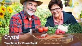  Presentation with vegetable garden - Audience pleasing slides consisting of hot cross bun on white dish and wooden table top backdrop and a coral colored foreground