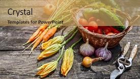  Presentation with old style - Cool new slide deck with harvester - harvest vegetables with herbs backdrop and a yellow colored foreground