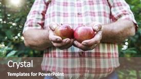  Presentation with organic fetilizer - PPT theme enhanced with harvester - organic apple harvest man holding background and a violet colored foreground