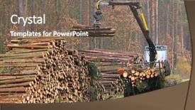  Presentation with mangrove forest mangrove in asia - Slide deck consisting of harvester working in a forest background and a violet colored foreground