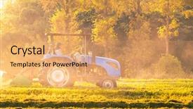  Presentation with rice field - Audience pleasing presentation theme consisting of harvester working in ripe rice backdrop and a coral colored foreground