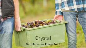  Presentation with box - Colorful PPT layouts enhanced with harvesters-carry-a-box backdrop and a mint green colored foreground