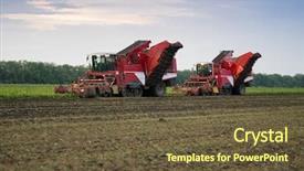  Presentation with harvest is ripe - Beautiful theme featuring harvesters harvest of ripe sugar backdrop and a tawny brown colored foreground