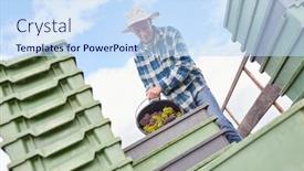  Presentation with loading - Colorful presentation theme enhanced with harvesters-loading-the-grapes-onto backdrop and a sky blue colored foreground