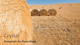  Presentation with hay field - Amazing presentation design having harvestimg-in-tuscany-italy-stacks backdrop and a yellow colored foreground