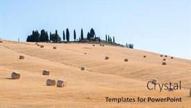  Presentation with hay field - Audience pleasing PPT theme consisting of harvestimg in tuscany italy stacks of hay on summer field hay and straw bales in the end of summer backdrop and a coral colored foreground