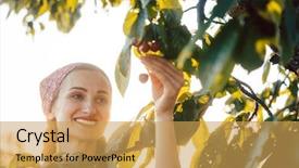 Presentation with harvesting energy - Amazing slide set having harvesting cherries from a tree backdrop and a yellow colored foreground