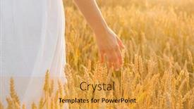  Presentation with prosperity - Amazing PPT theme having harvesting-nature-agriculture-and-prosperity backdrop and a yellow colored foreground