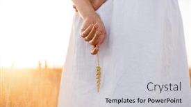  Presentation with prosperity - Colorful presentation theme enhanced with harvesting-nature-agriculture-and-prosperity backdrop and a light gray colored foreground