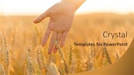  Presentation with prosperity - Audience pleasing presentation consisting of harvesting-nature-agriculture-and-prosperity backdrop and a yellow colored foreground