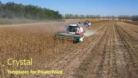  Presentation with europe moldova - Amazing PPT theme having harvesting-of-sunflower-seeds-using backdrop and a violet colored foreground