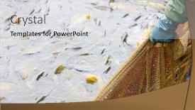  Presentation with pond - Colorful PPT theme enhanced with harvesting-pond backdrop and a light gray colored foreground