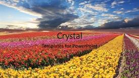  Presentation with diversity bright colors - Cool new PPT theme with harvesting spring storm over field backdrop and a  colored foreground