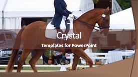  Presentation with new zealand - Slides consisting of hastings new zealand - march 21 background and a tawny brown colored foreground