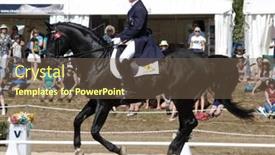  Presentation with win win - Cool new theme with hastings-new-zealand-march-21 backdrop and a tawny brown colored foreground